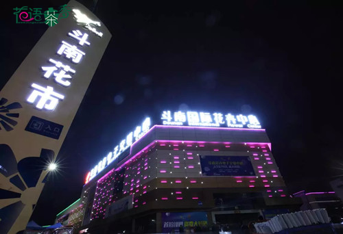 近期的花价密码