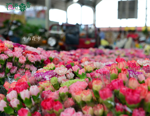 近期的花价密码