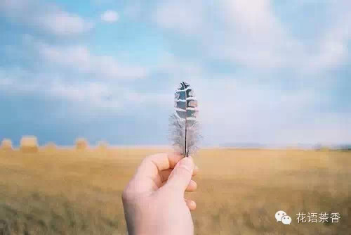 羽毛