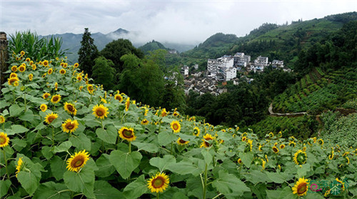 花