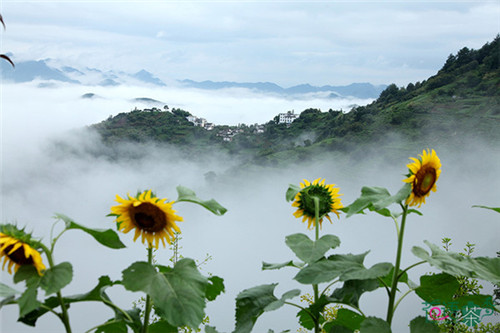 花