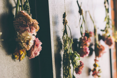 长沙花艺培训,干花制作