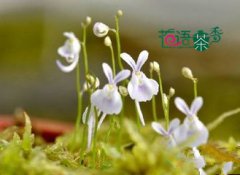 热门推荐