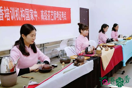 茶艺考试学员