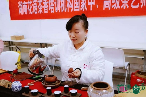 茶艺考试学员