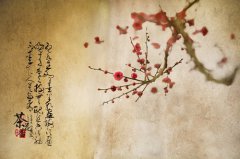 热门推荐