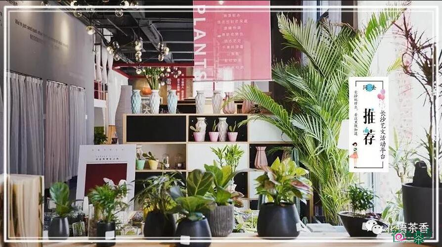 花语茶香携手卡佛书店共同打造完美茶艺体验